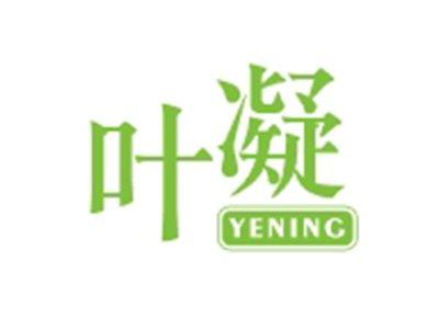 叶凝YENING