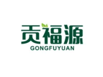 贡福源GONGFUYUAN
