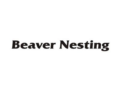 BeaverNesting