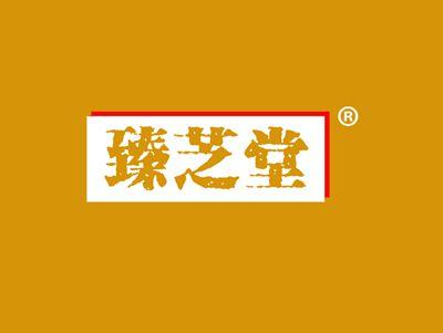 臻芝堂