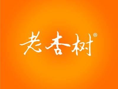 老杏树