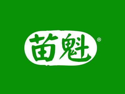 苗魁