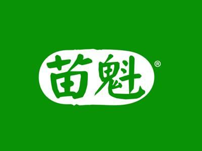 苗魁