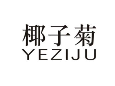 椰子菊