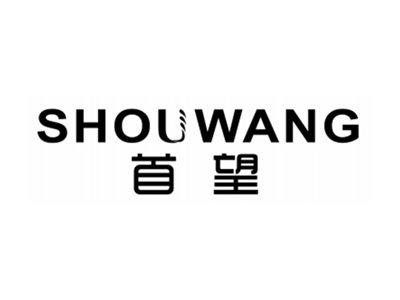 首望