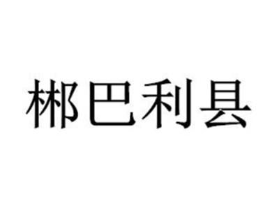 郴巴利县