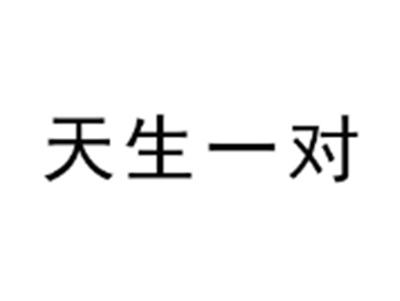 天生一对