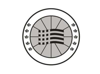 加拿大鹅