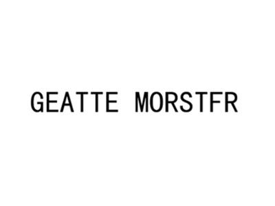 GEATTEMORSTFR