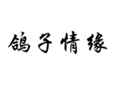 鸽子情缘