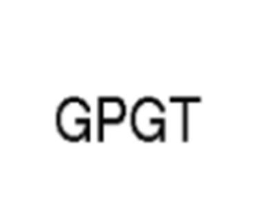 GPGT