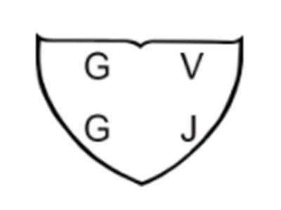 GVGJ