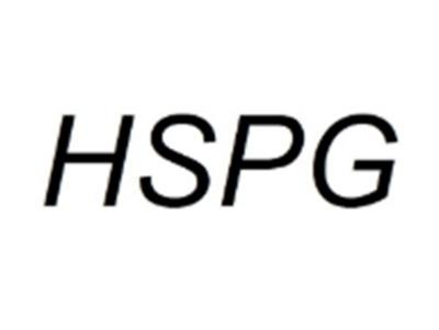 HSPG