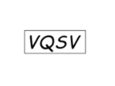 VQSV
