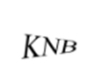 KNB