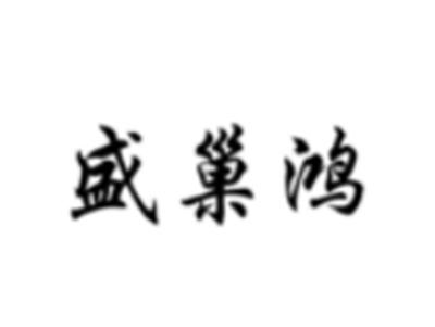 盛巢鸿