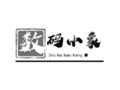 数码小象
