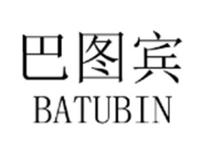 巴图宾