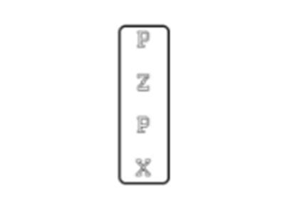 PZPX