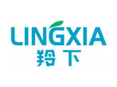 羚下LINGXIA