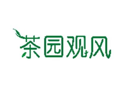 茶园观风