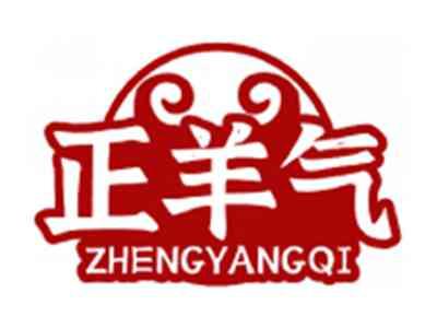 正羊气ZHENGYANGQI