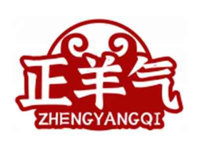 正羊气ZHENGYANGQI