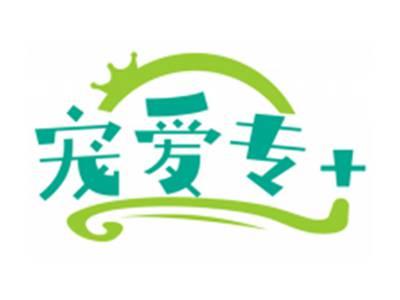 宠爱专+