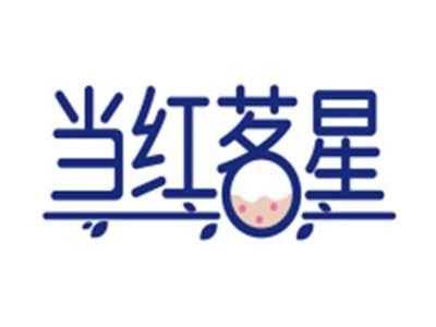 当红茗星