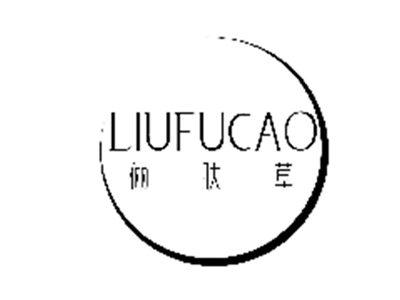 俪肤草