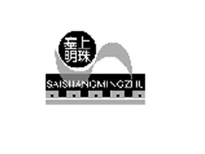 塞上明珠