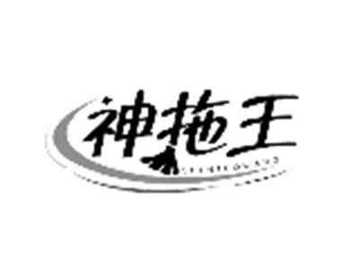 神拖王