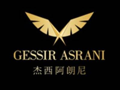 杰西阿朗尼
GESSIR ASRANI