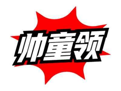 帅童领
