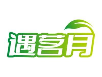 遇茗月
