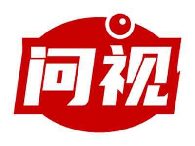 问视