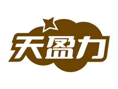 天盈力