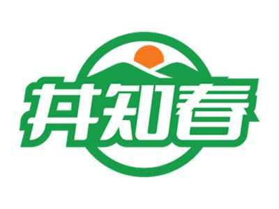 井知春