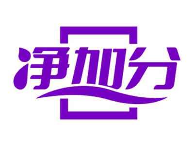 净加分