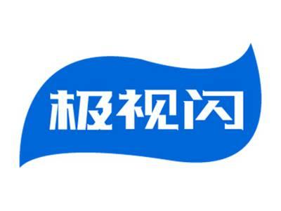 极视闪