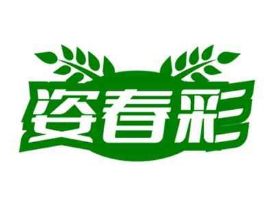 姿春彩