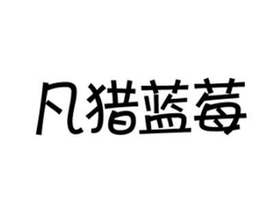 凡猎蓝莓