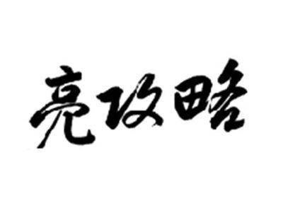 亮攻略