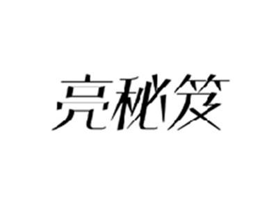 亮秘笈