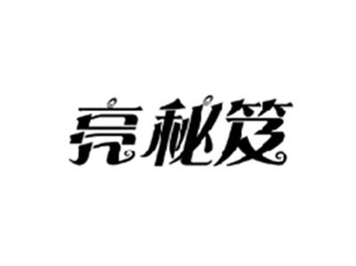 亮秘笈