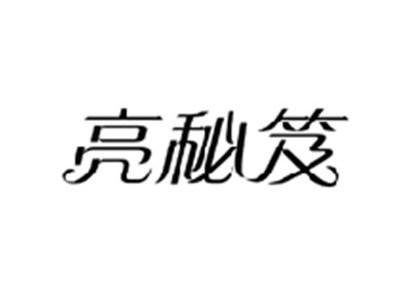 亮秘笈