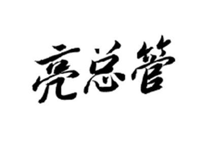 亮总管