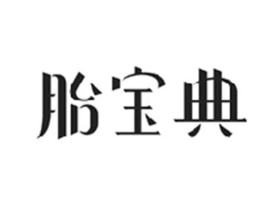 胎宝典