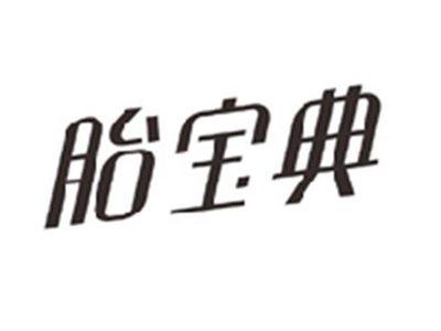 胎宝典