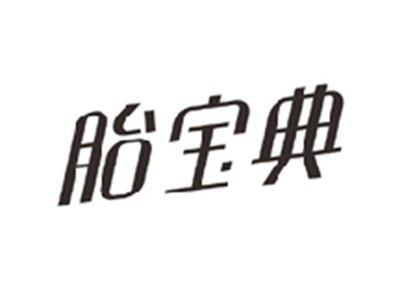 胎宝典
